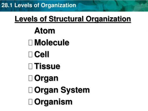 Levels of Structural Organization