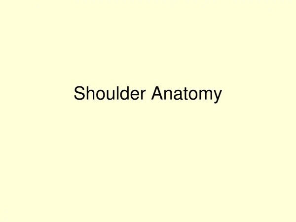 Shoulder Anatomy