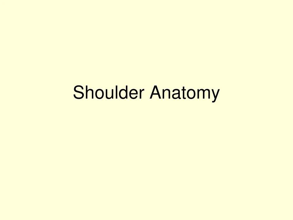 shoulder anatomy