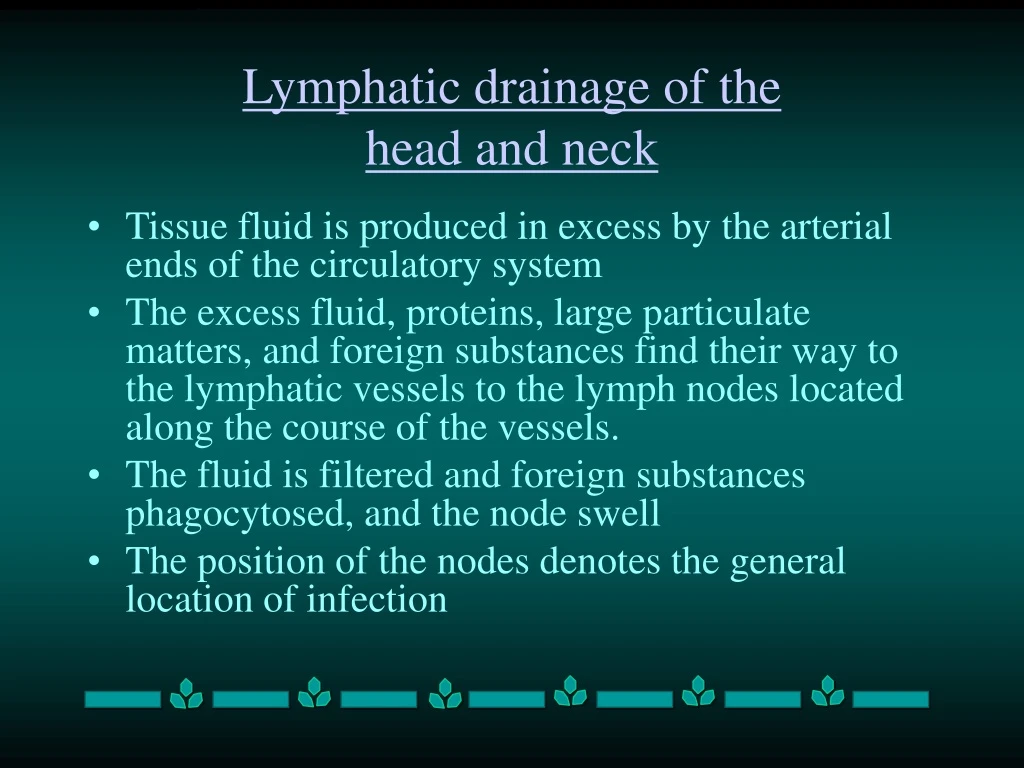 lymphatic drainage of the head and neck