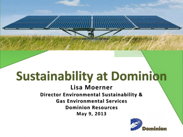 Lisa Moerner Director Environmental Sustainability &amp; Gas Environmental Services Dominion Resources