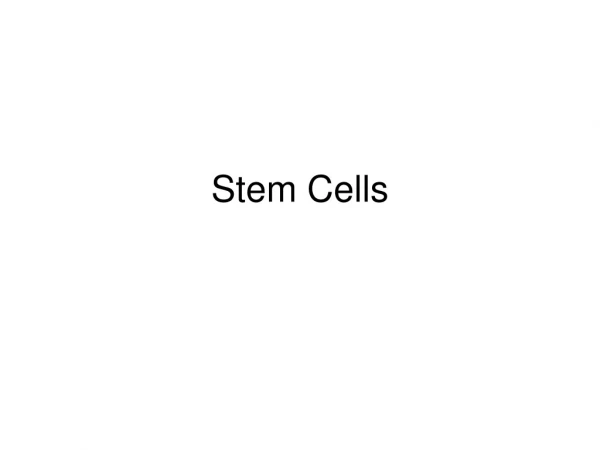 Stem Cells