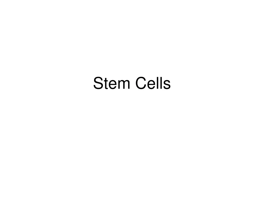 stem cells