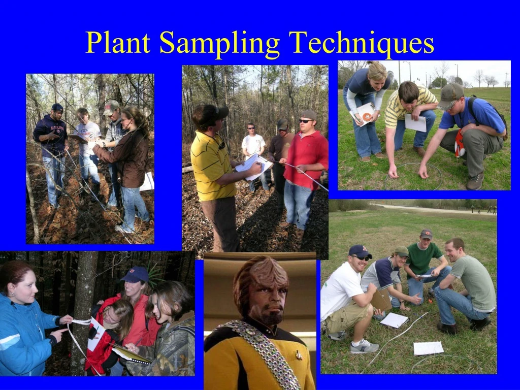 plant sampling techniques