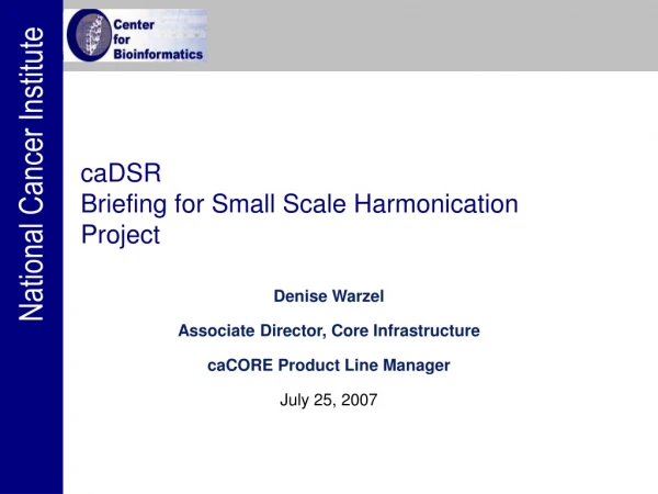 caDSR  Briefing for Small Scale Harmonication Project