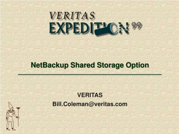 NetBackup Shared Storage Option