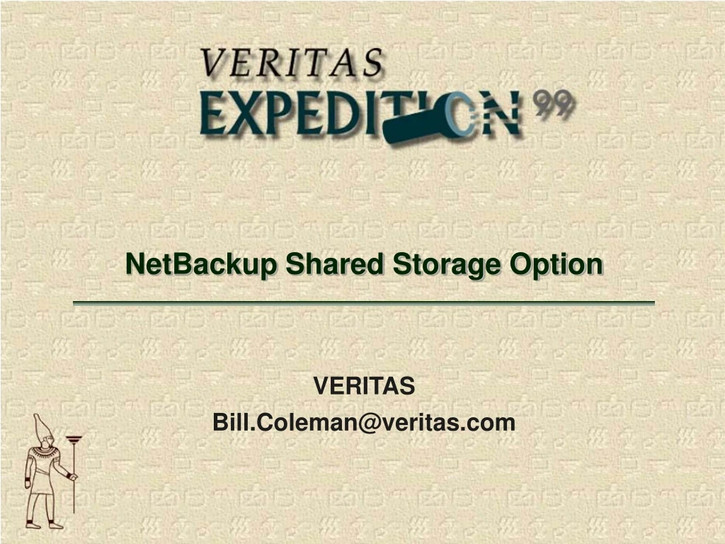 netbackup shared storage option