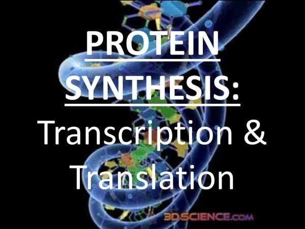 PROTEIN SYNTHESIS: Transcription &amp; Translation