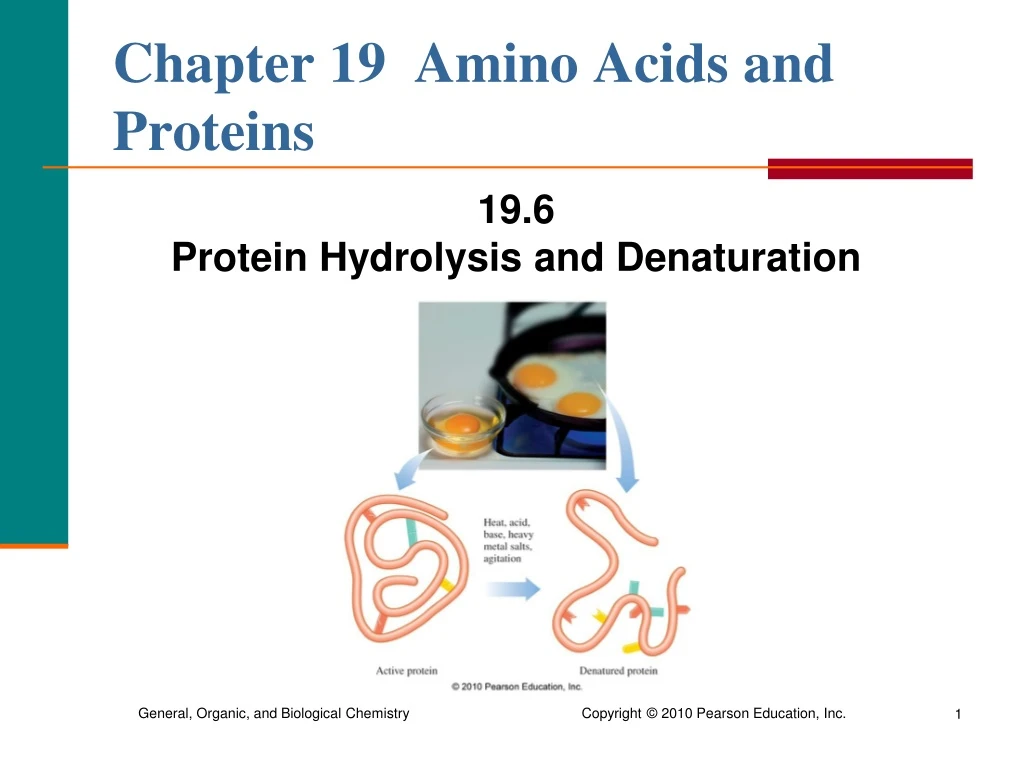 chapter 19 amino acids and proteins