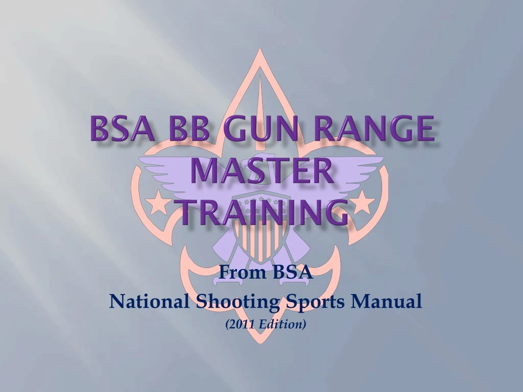 bsa bb gun range master training