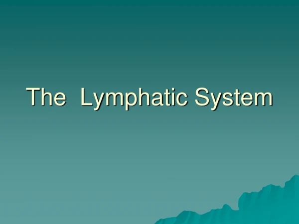 The  Lymphatic System