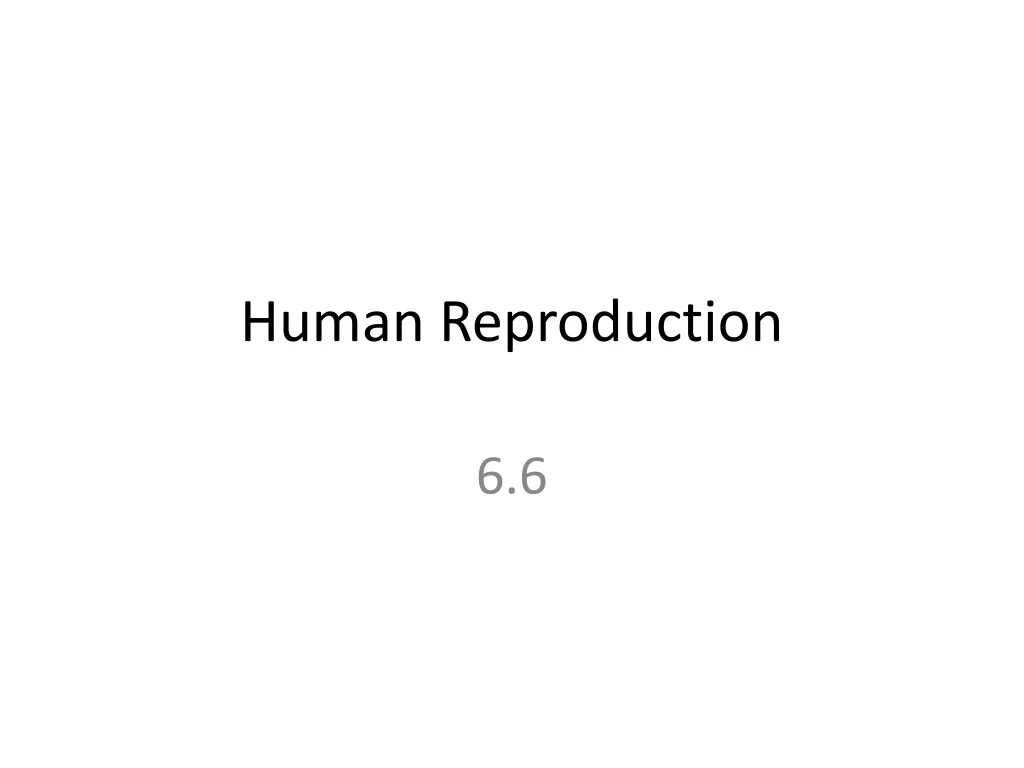 human reproduction