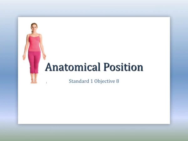 Anatomical Position