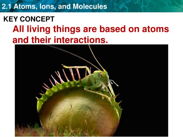 KEY CONCEPT All living things are based on atoms and their interactions.
