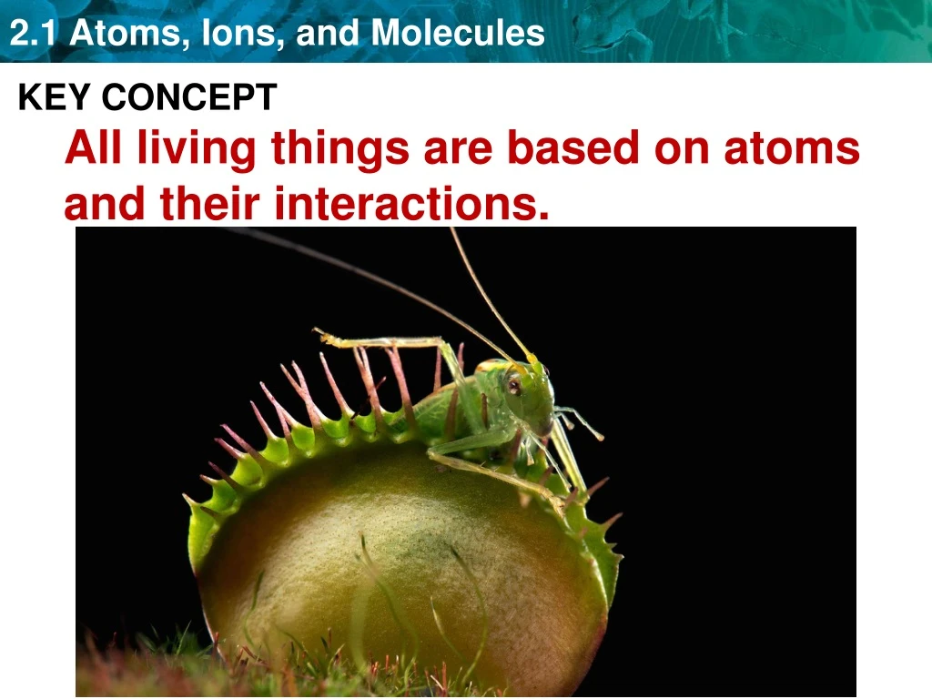 key concept all living things are based on atoms