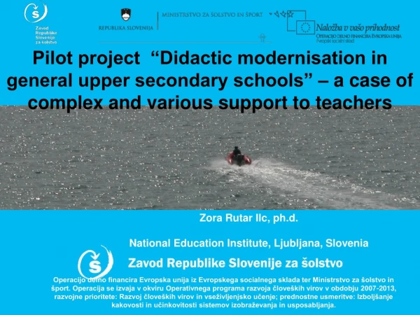Zora Rutar Ilc, ph.d. National Education Institute, Ljubljana, Slovenia