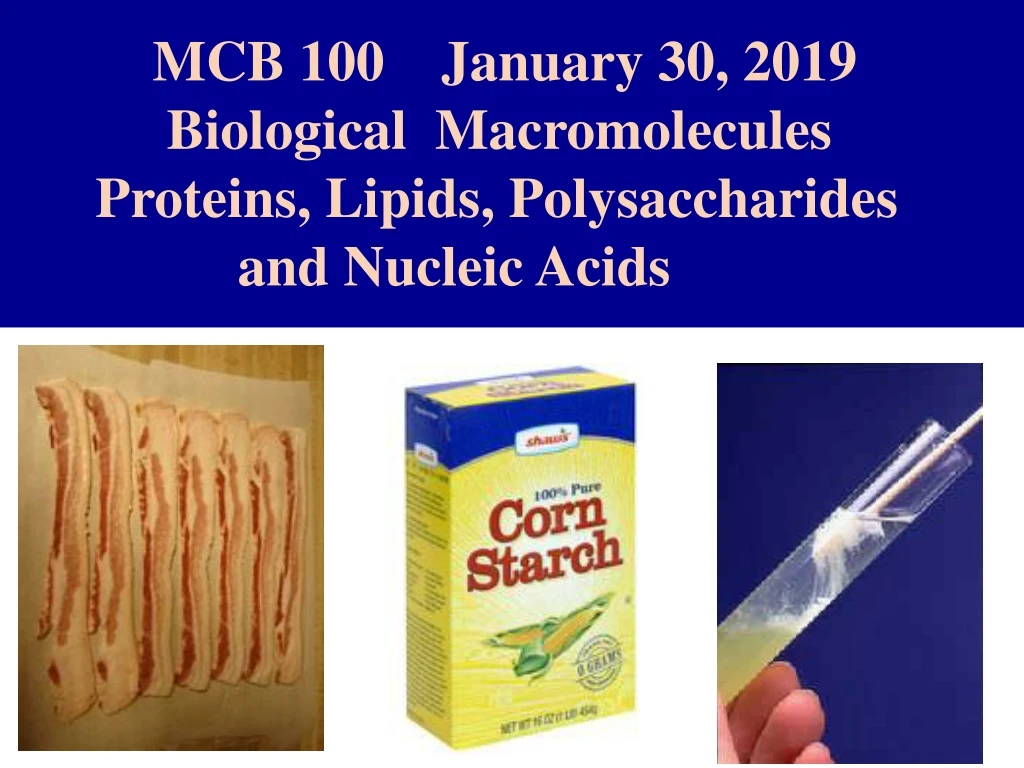 mcb 100 january 30 2019 biological macromolecules