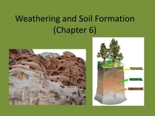 PPT - Weathering And Soil Formation PowerPoint Presentation, Free ...