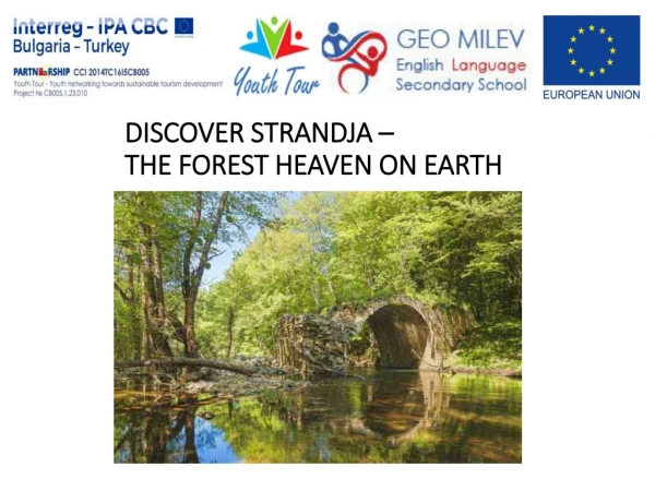 DISCOVER STRANDJA –  THE FOREST HEAVEN ON EARTH