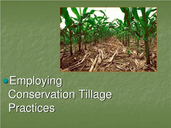 Employing Conservation Tillage Practices