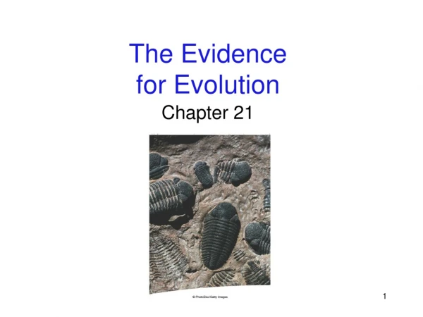 The Evidence for Evolution