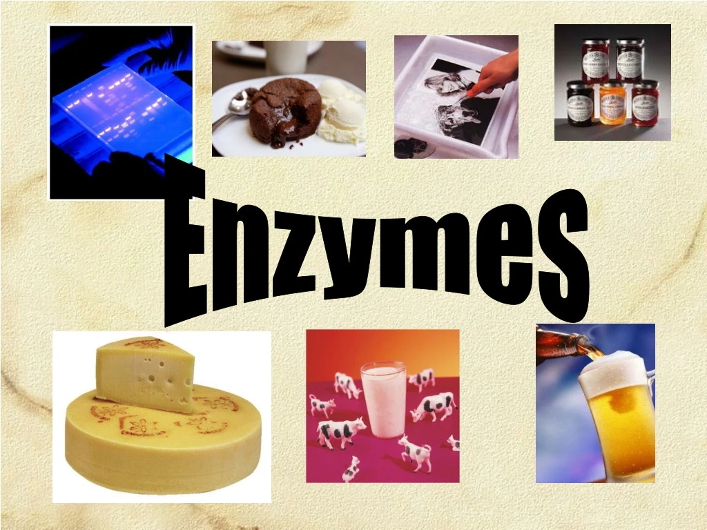 enzymes