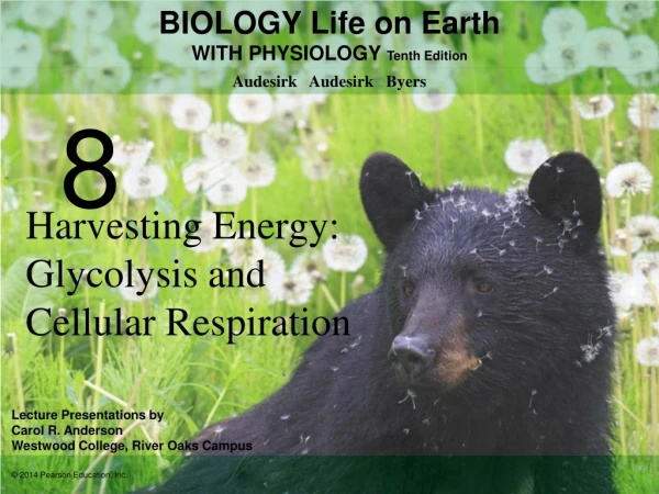 Harvesting Energy: Glycolysis and Cellular Respiration