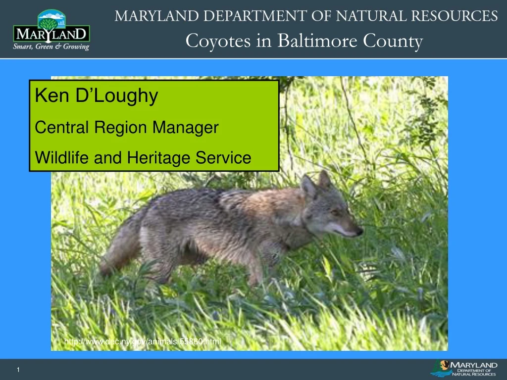 ken d loughy central region manager wildlife