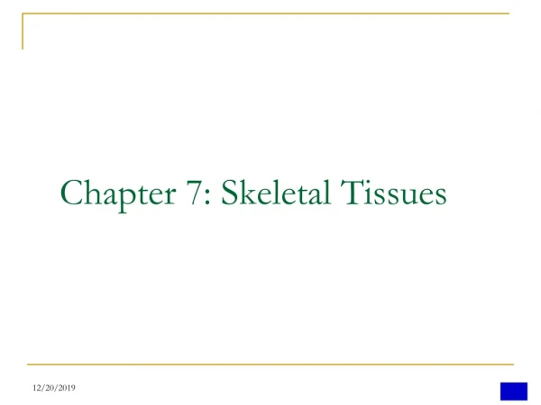 Chapter 7: Skeletal Tissues
