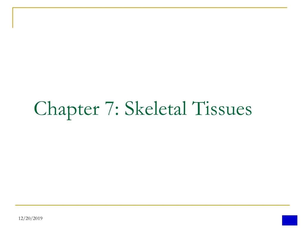 chapter 7 skeletal tissues