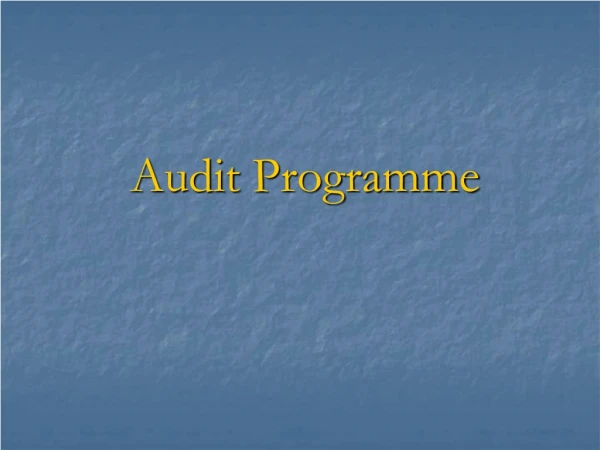 Audit  Programme