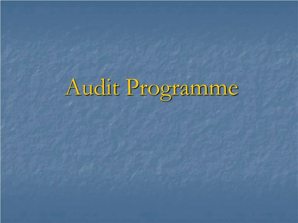 audit programme