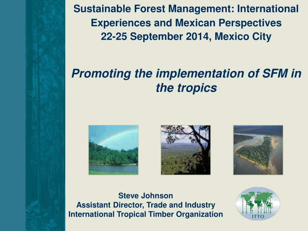 sustainable forest management international