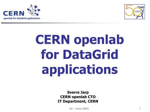 CERN openlab for DataGrid applications