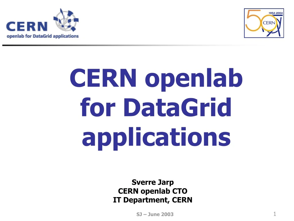 cern openlab for datagrid applications