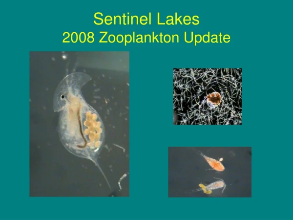 Sentinel Lakes  2008 Zooplankton Update