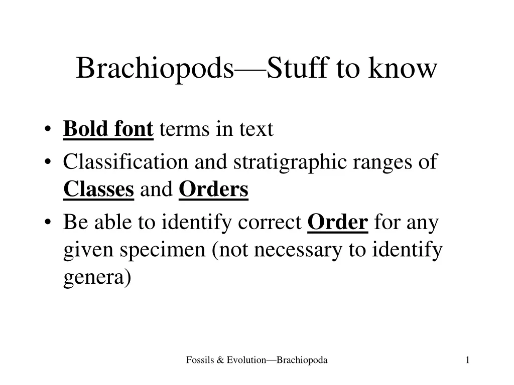 brachiopods stuff to know