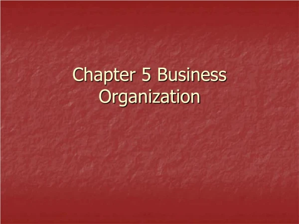 Chapter 5 Business Organization