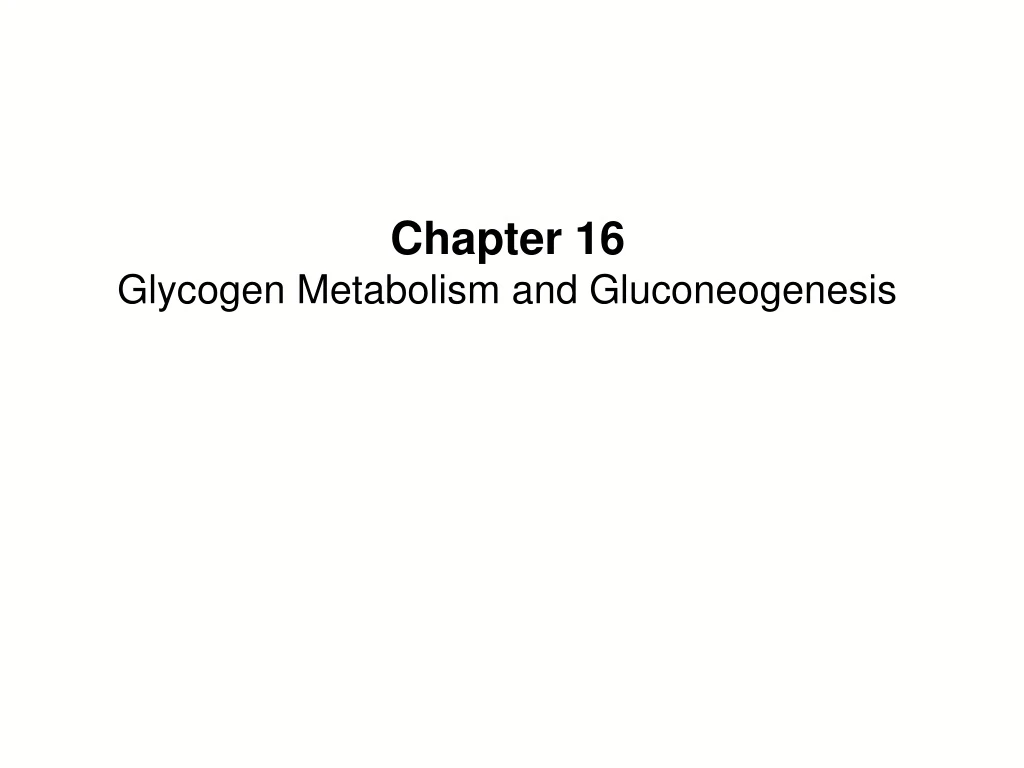 chapter 16 glycogen metabolism and gluconeogenesis