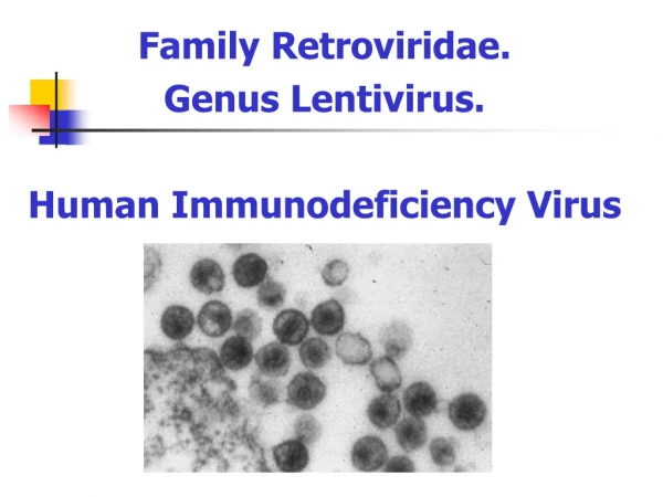 family retroviridae genus lentivirus human