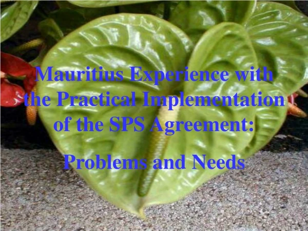 Mauritius Experience with the Practical Implementation of the SPS Agreement:   Problems and Needs
