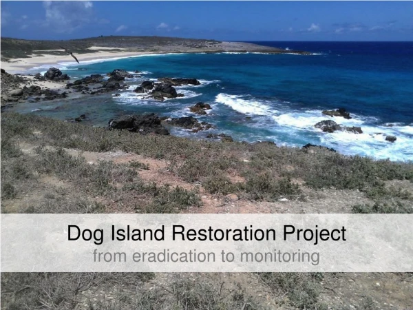Dog Island Restoration Project from eradication to monitoring