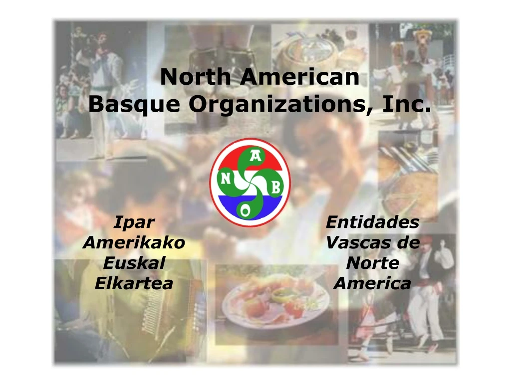 north american basque organizations inc