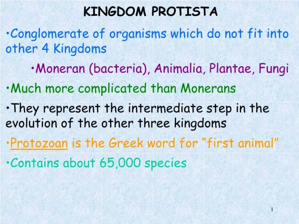 KINGDOM PROTISTA