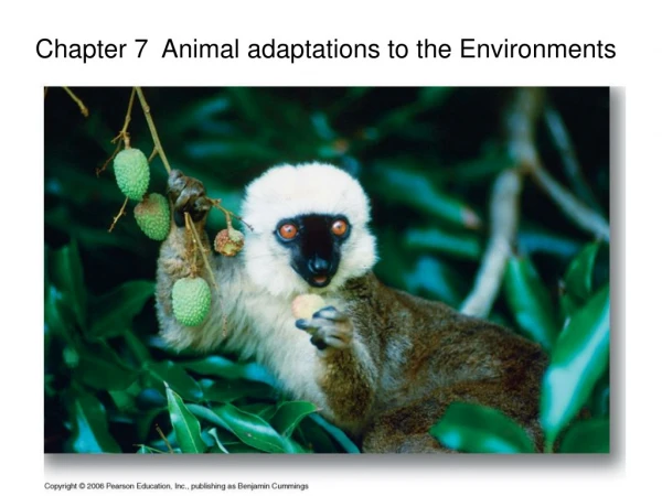 Chapter 7  Animal adaptations to the Environments