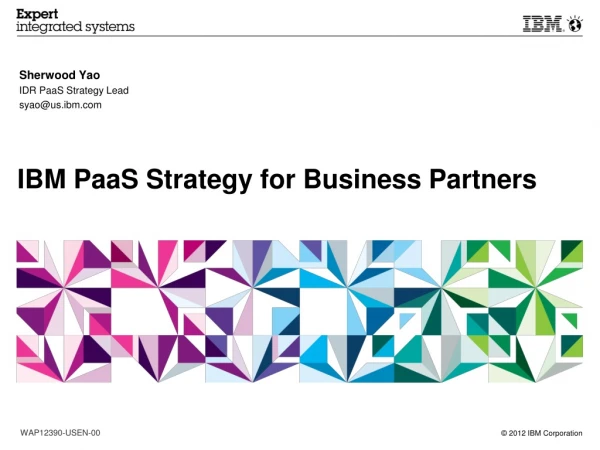 IBM PaaS Strategy for Business Partners