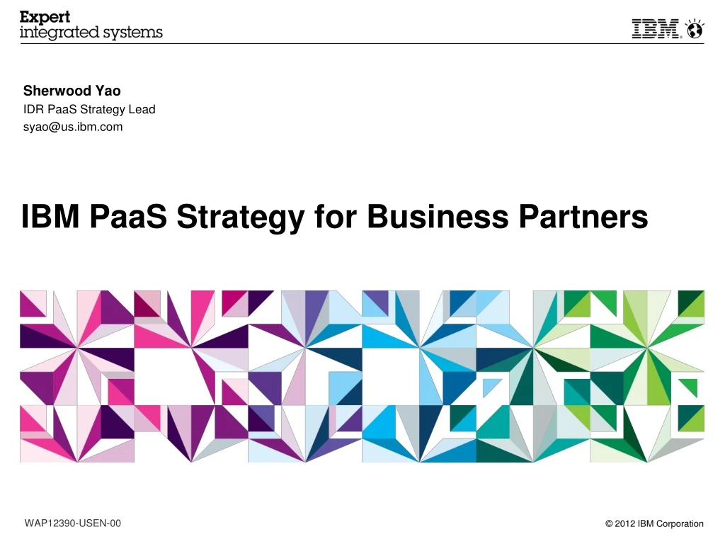 ibm paas strategy for business partners