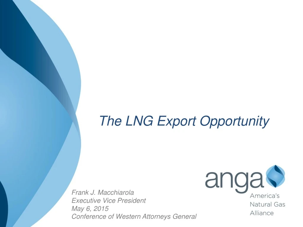 the lng export opportunity