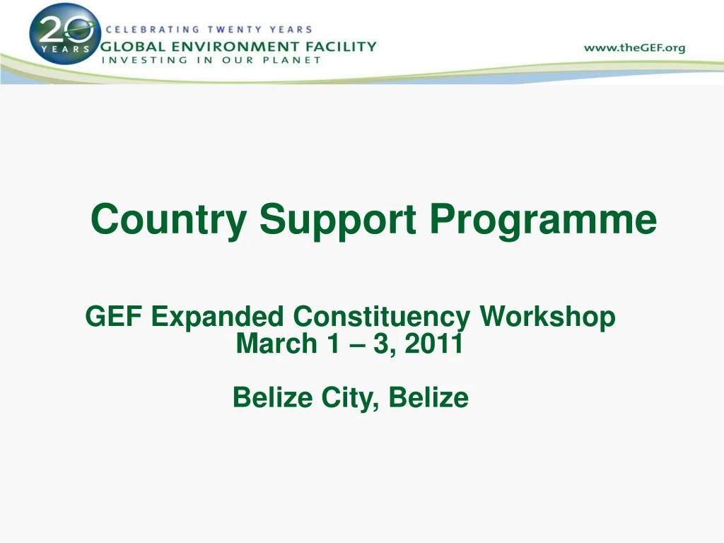 country support programme