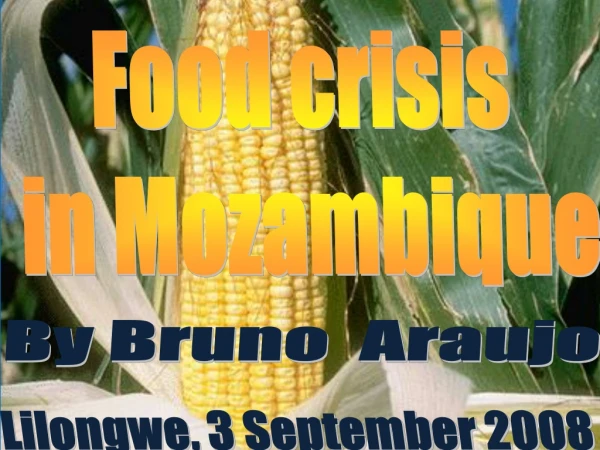 Food crisis  in Mozambique